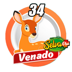 Venado
